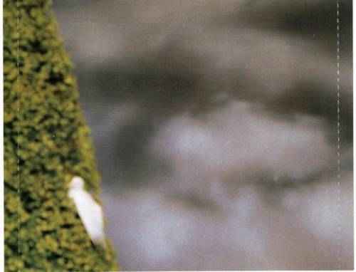 Cher Living Proof : Back